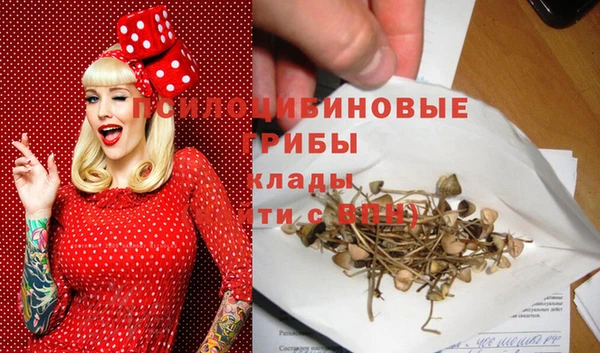 соль курить ск Протвино