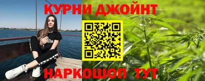 шишки Можга
