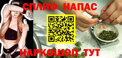 шишки Можга