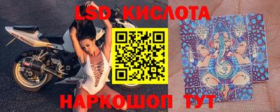 шишки Можга